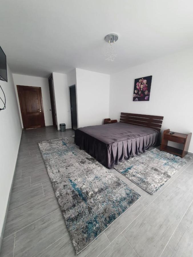 Casa De Vacanta Larisa โนวาชิ-สเตรยนี ภายนอก รูปภาพ
