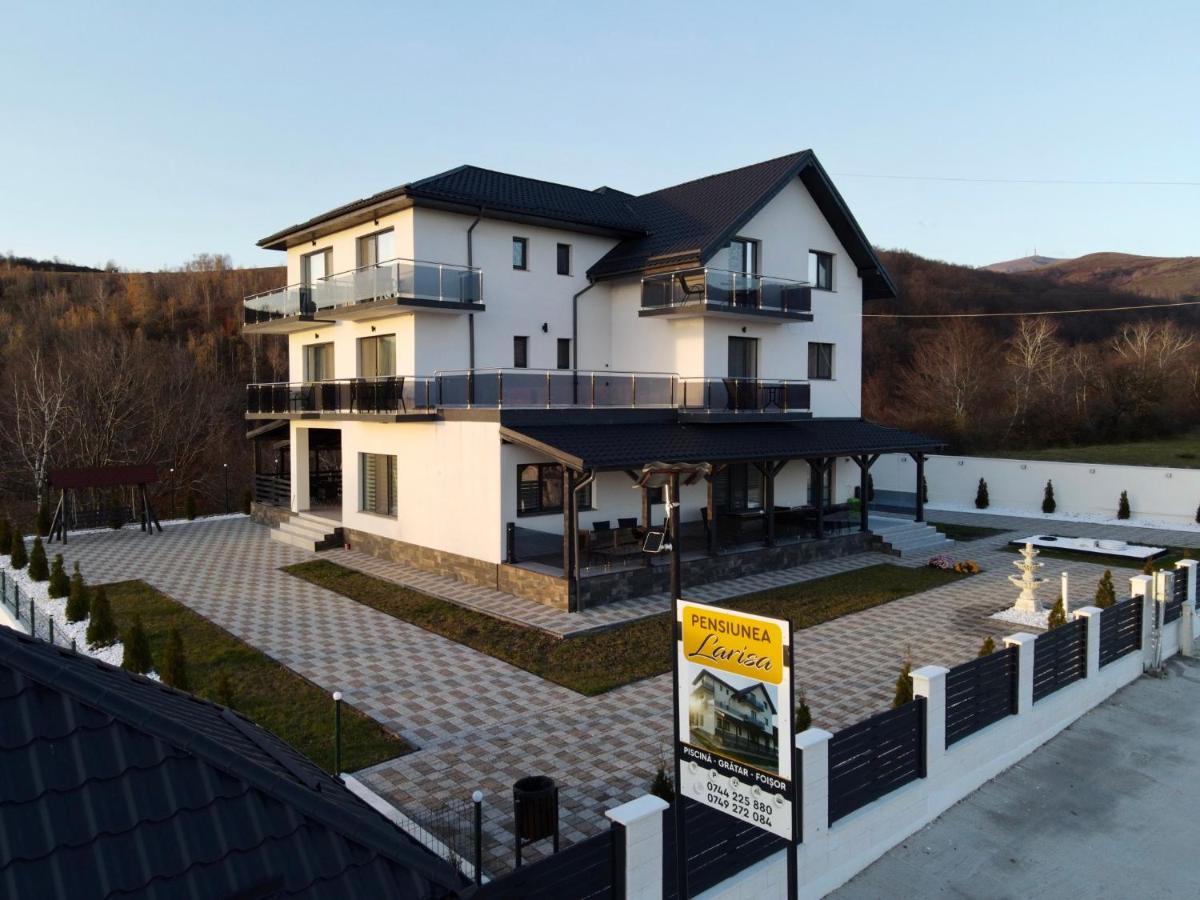 Casa De Vacanta Larisa โนวาชิ-สเตรยนี ภายนอก รูปภาพ