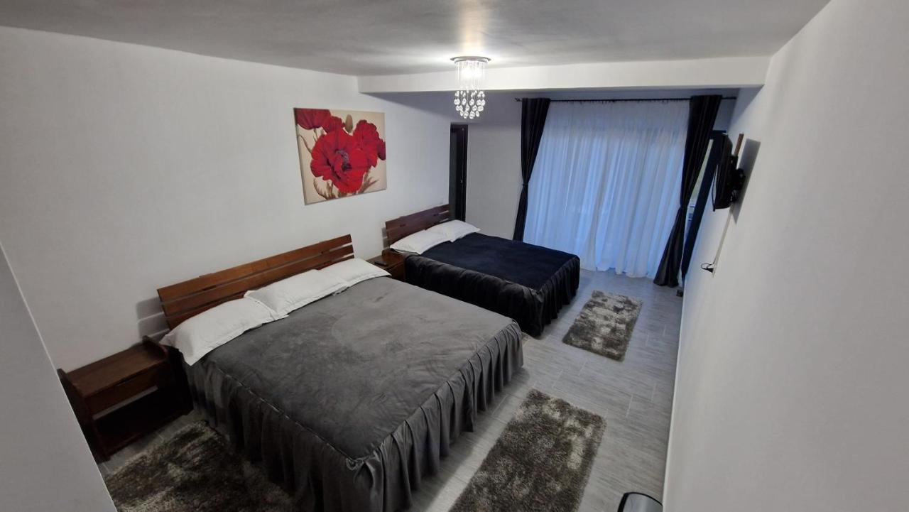 Casa De Vacanta Larisa โนวาชิ-สเตรยนี ภายนอก รูปภาพ